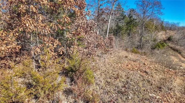 $486,500 | 0 Southeast 1151st Road, Collins, MO 64738