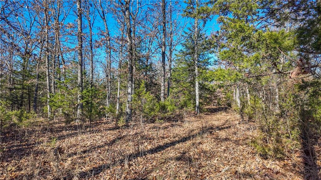 0 Southeast 1151st Road Collins, MO 64738 - Photo 26 of 62