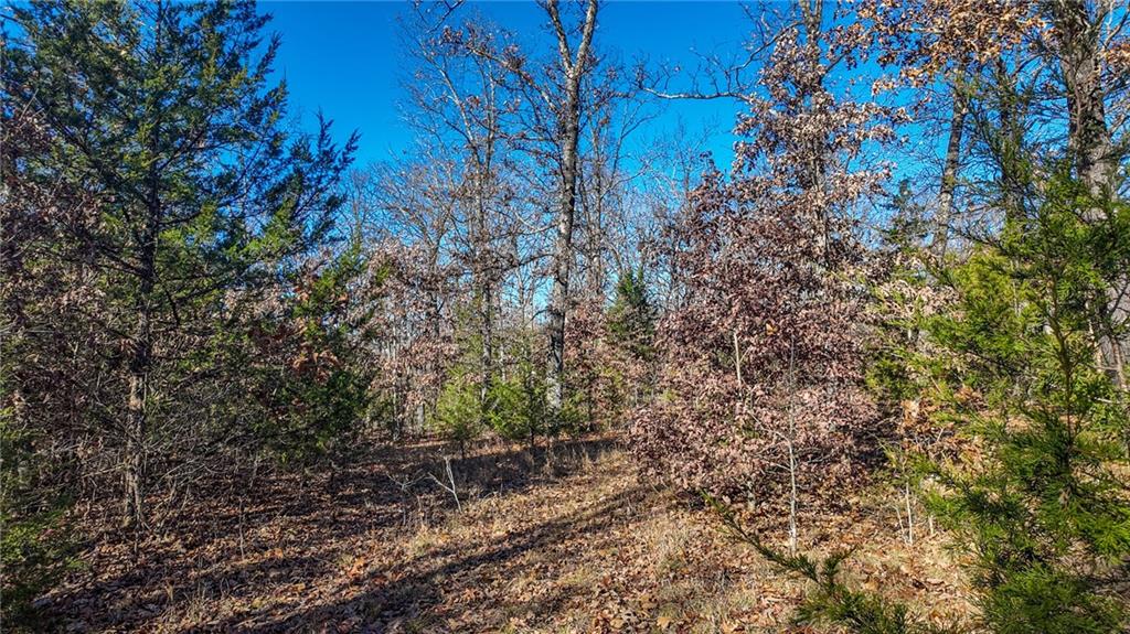 0 Southeast 1151st Road Collins, MO 64738 - Photo 27 of 62