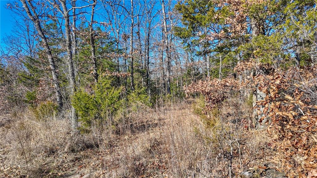 0 Southeast 1151st Road Collins, MO 64738 - Photo 27 of 62