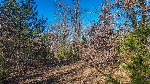 $486,500 | 0 Southeast 1151st Road, Collins, MO 64738