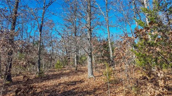 $486,500 | 0 Southeast 1151st Road, Collins, MO 64738