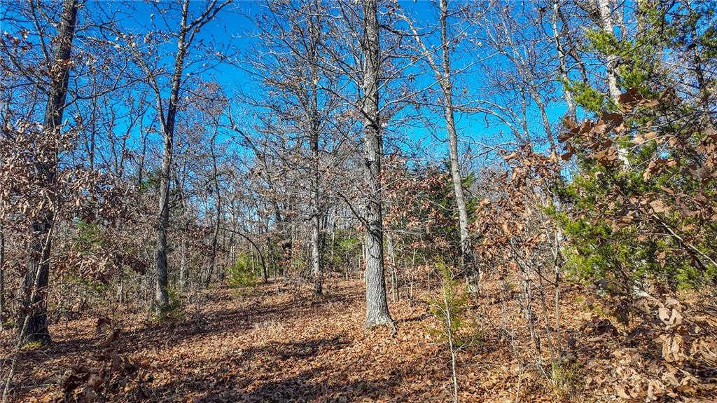 0 Southeast 1151st Road Collins, MO 64738 - Photo 32 of 62