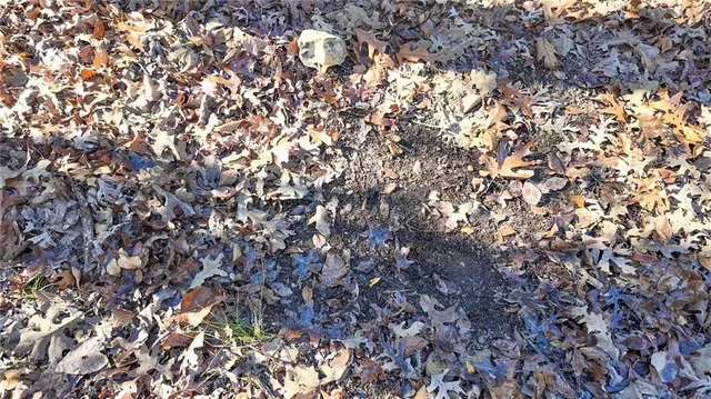 $499,900 | 0 Southeast 1151st Road, Collins, MO 64738