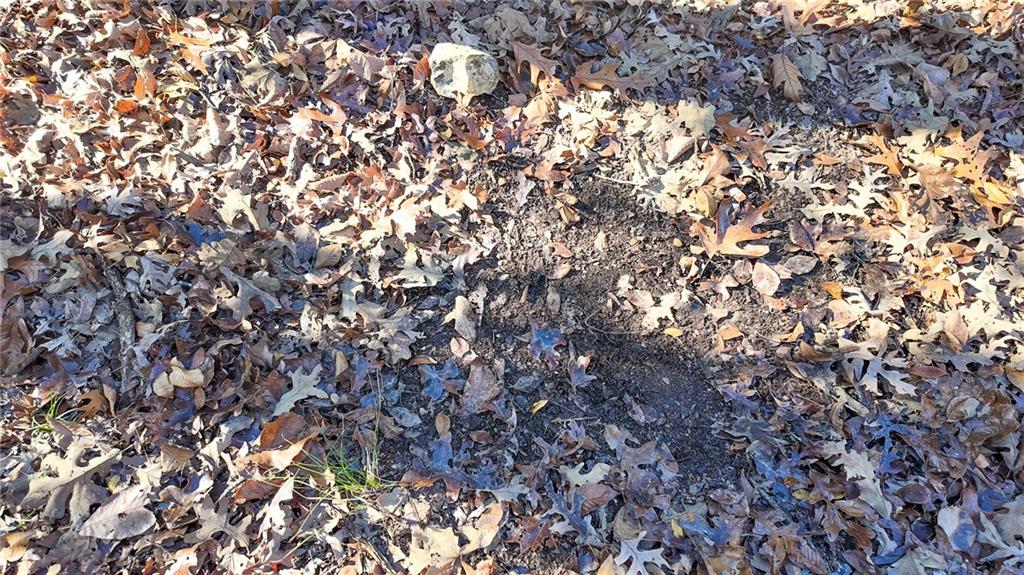 0 Southeast 1151st Road Collins, MO 64738 - Photo 33 of 62