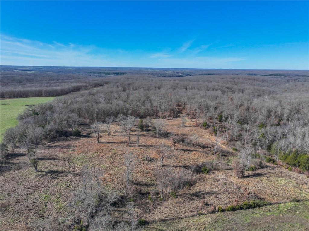 0 Southeast 1151st Road Collins, MO 64738 - Photo 37 of 62