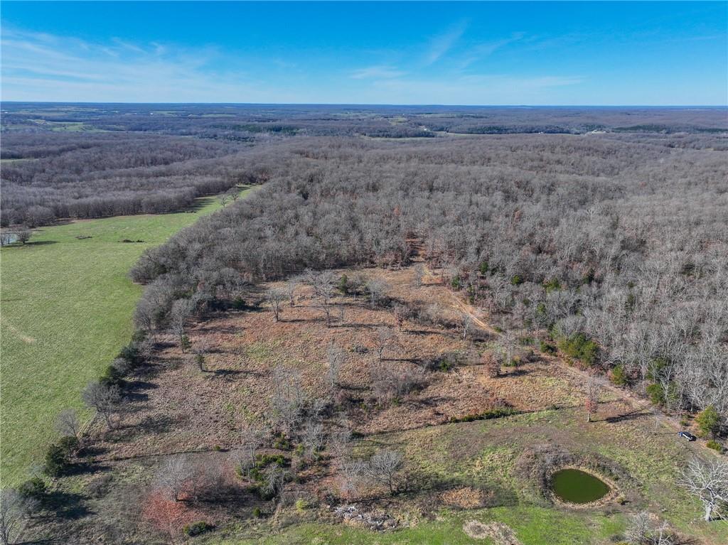 0 Southeast 1151st Road Collins, MO 64738 - Photo 38 of 62