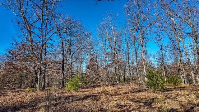 $499,900 | 0 Southeast 1151st Road, Collins, MO 64738