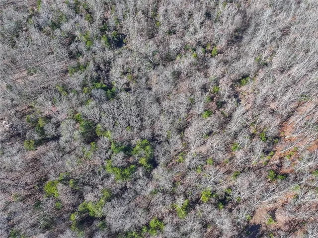 $486,500 | 0 Southeast 1151st Road, Collins, MO 64738