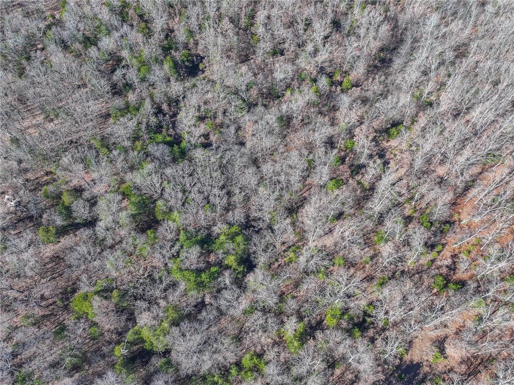 0 Southeast 1151st Road Collins, MO 64738 - Photo 42 of 62