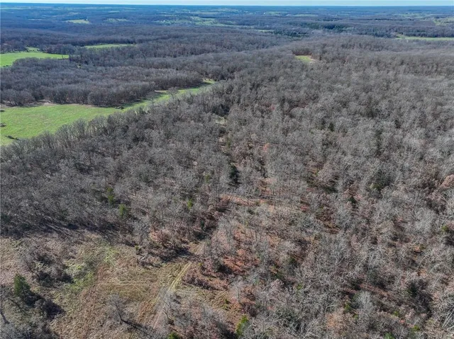 $499,900 | 0 Southeast 1151st Road, Collins, MO 64738