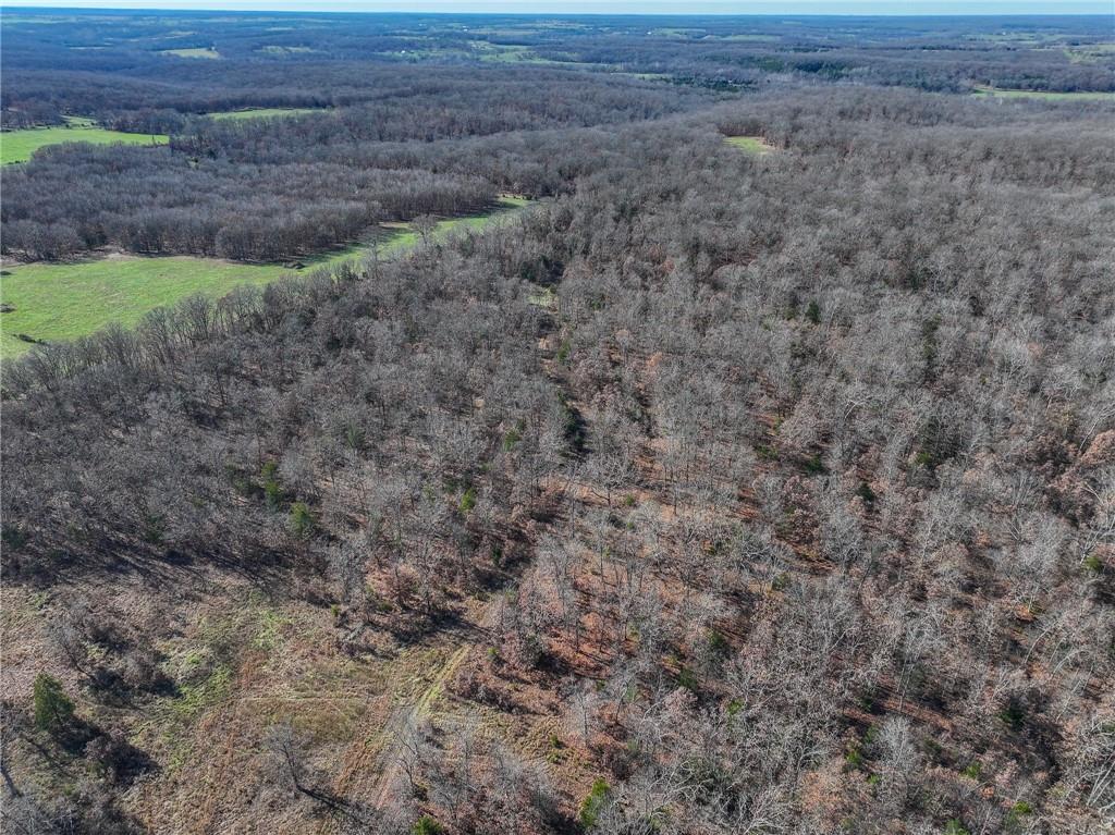 0 Southeast 1151st Road Collins, MO 64738 - Photo 42 of 62