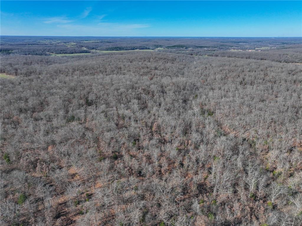 0 Southeast 1151st Road Collins, MO 64738 - Photo 43 of 62