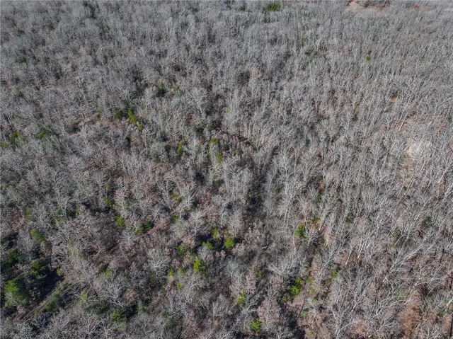 $486,500 | 0 Southeast 1151st Road, Collins, MO 64738