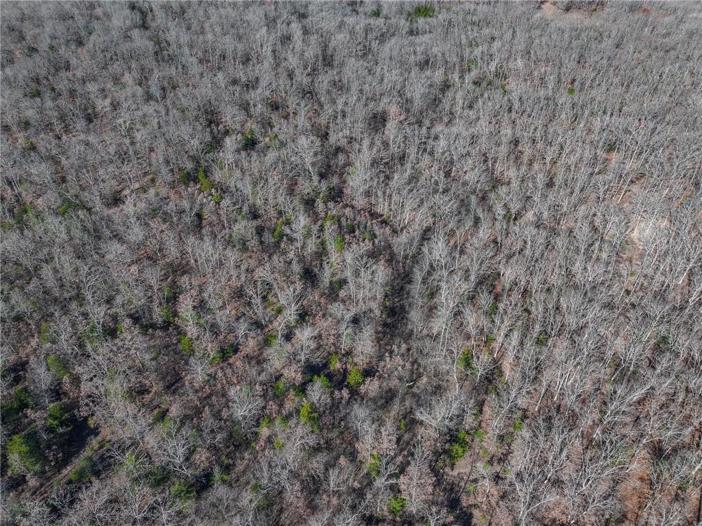 0 Southeast 1151st Road Collins, MO 64738 - Photo 43 of 62