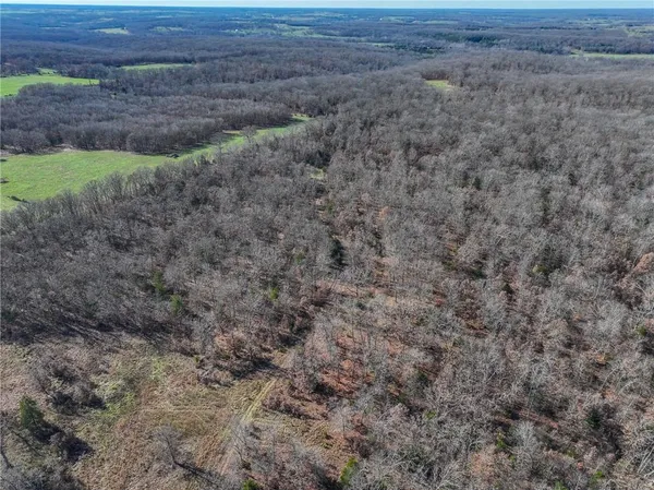 $486,500 | 0 Southeast 1151st Road, Collins, MO 64738