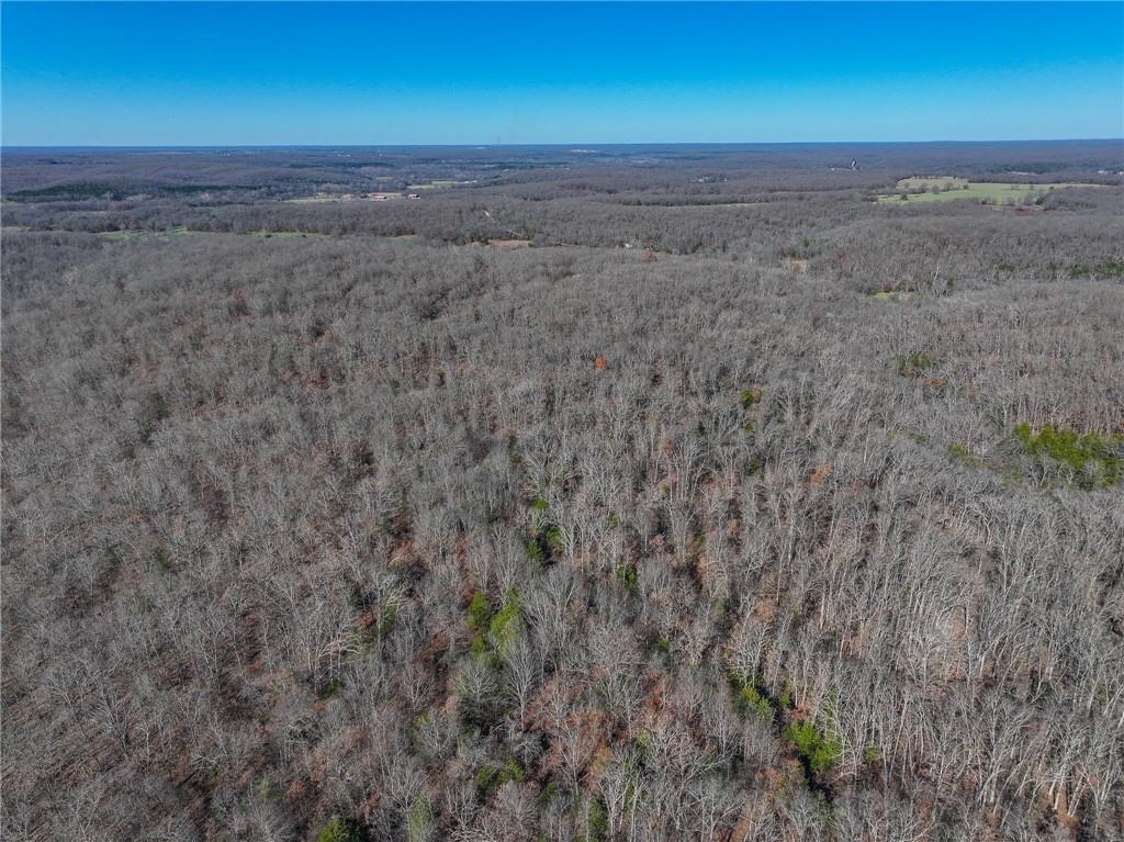 0 Southeast 1151st Road Collins, MO 64738 - Photo 46 of 62