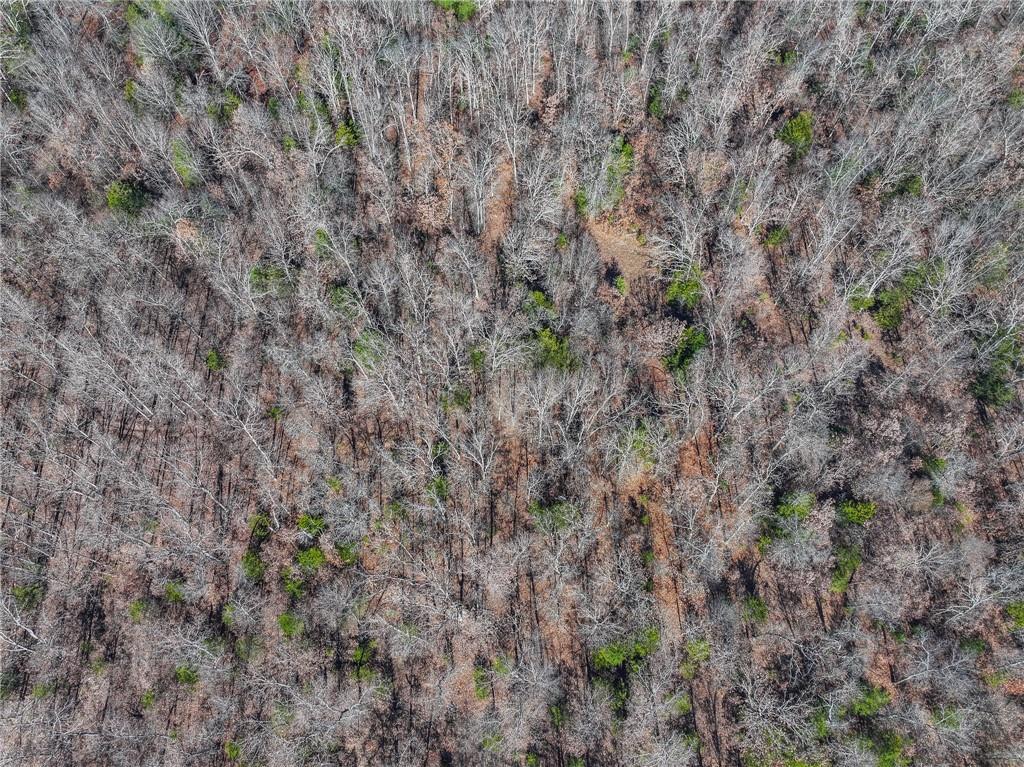 0 Southeast 1151st Road Collins, MO 64738 - Photo 46 of 62