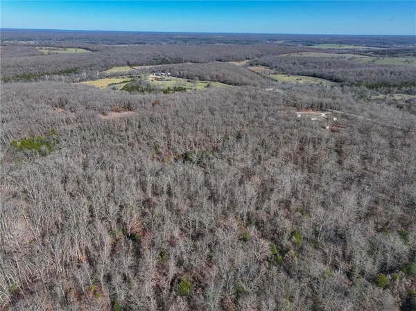 $486,500 | 0 Southeast 1151st Road, Collins, MO 64738