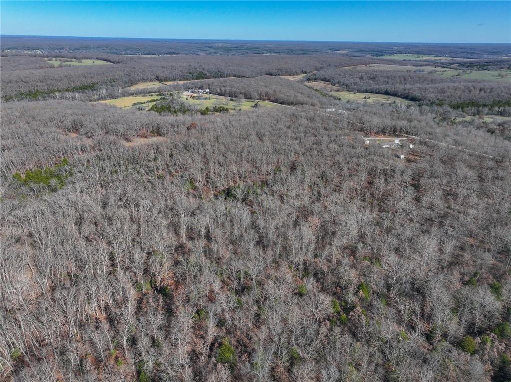 0 Southeast 1151st Road Collins, MO 64738 - Photo 47 of 62