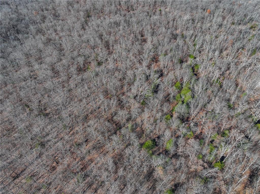 0 Southeast 1151st Road Collins, MO 64738 - Photo 48 of 62