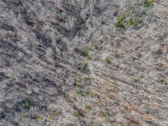 $499,900 | 0 Southeast 1151st Road, Collins, MO 64738