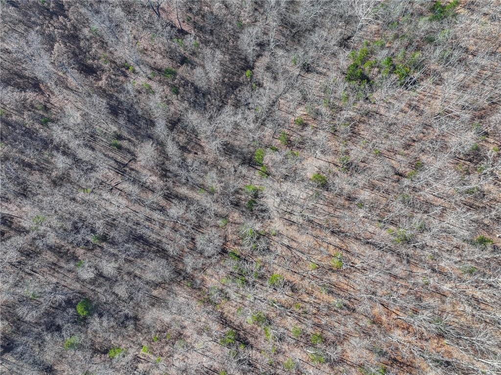 0 Southeast 1151st Road Collins, MO 64738 - Photo 49 of 62