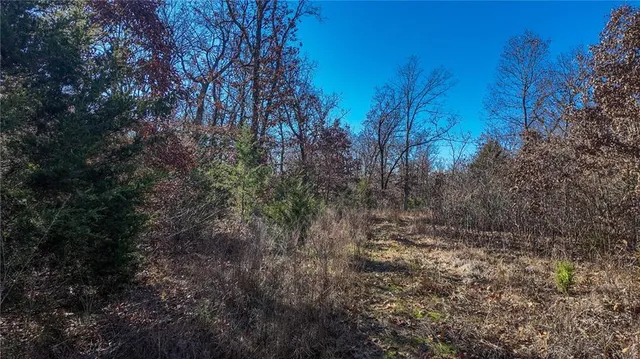 $499,900 | 0 Southeast 1151st Road, Collins, MO 64738