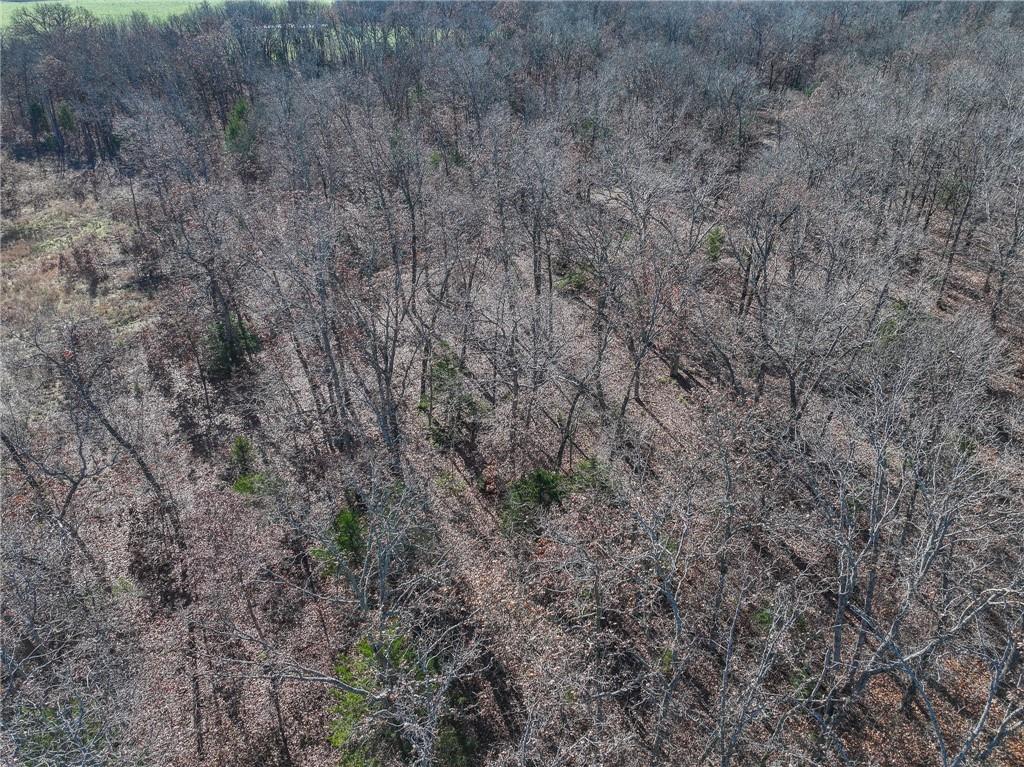 0 Southeast 1151st Road Collins, MO 64738 - Photo 51 of 62