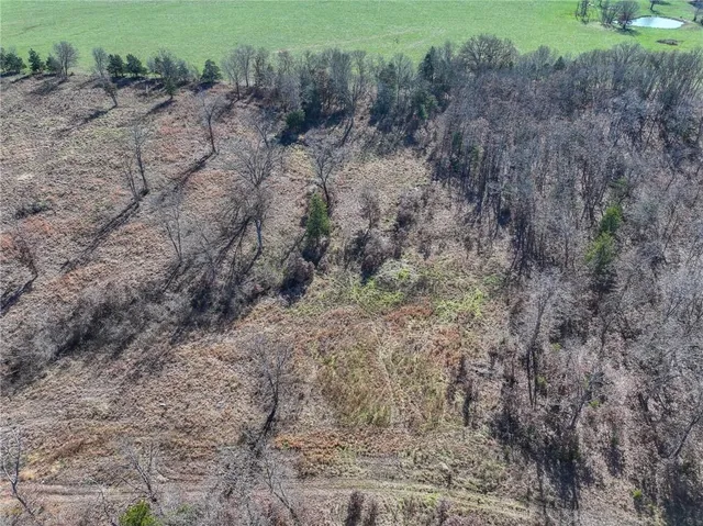 $486,500 | 0 Southeast 1151st Road, Collins, MO 64738