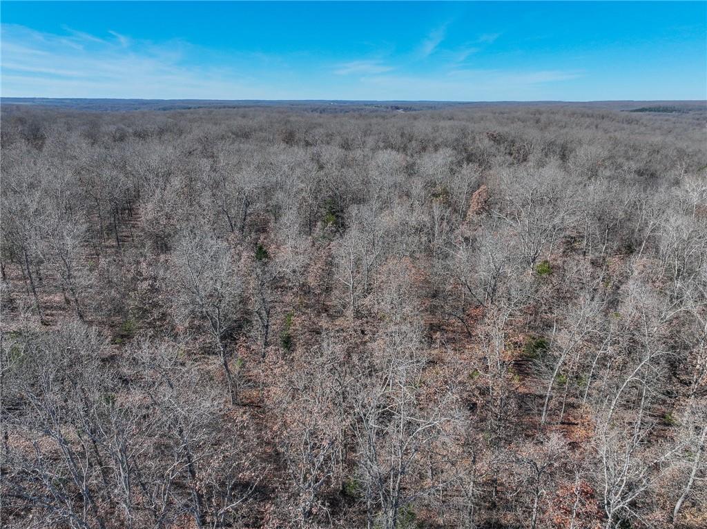 0 Southeast 1151st Road Collins, MO 64738 - Photo 52 of 62