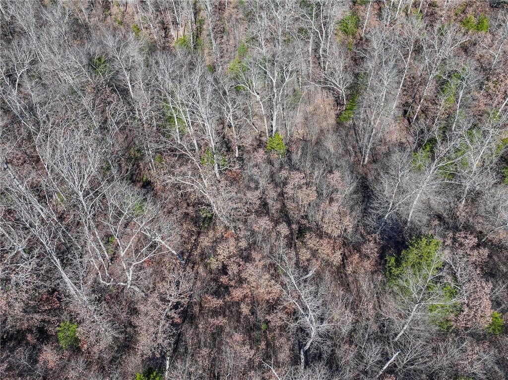 0 Southeast 1151st Road Collins, MO 64738 - Photo 57 of 62