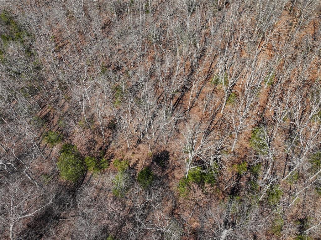 0 Southeast 1151st Road Collins, MO 64738 - Photo 58 of 62