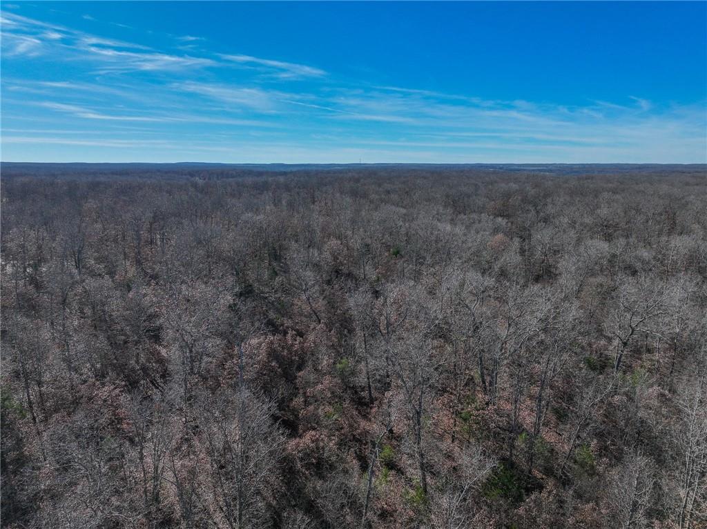 0 Southeast 1151st Road Collins, MO 64738 - Photo 62 of 62