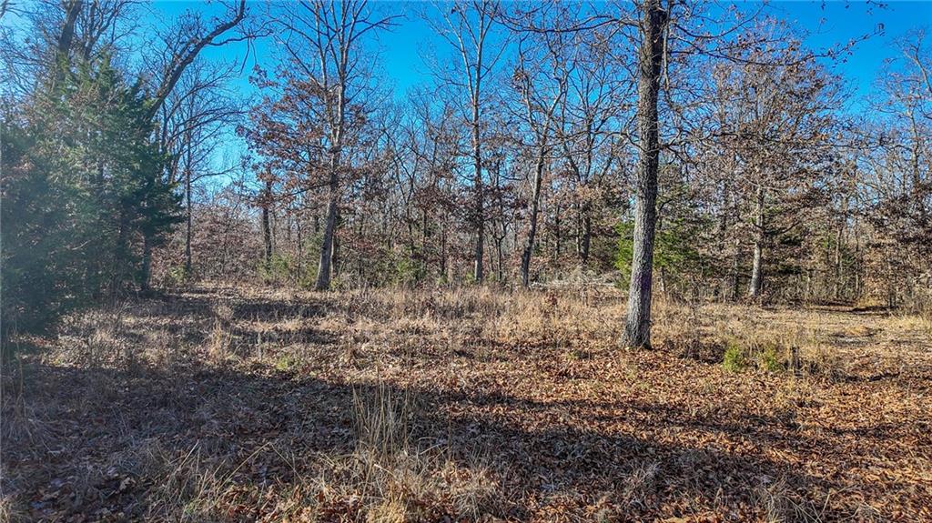 0 Southeast 1151st Road Collins, MO 64738 - Photo 7 of 62