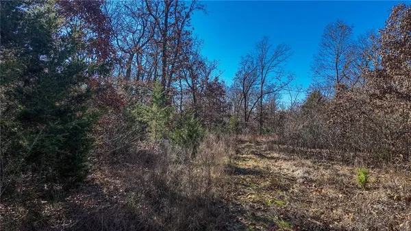 $486,500 | 0 Southeast 1151st Road, Collins, MO 64738