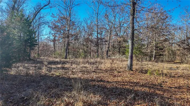 $486,500 | 0 Southeast 1151st Road, Collins, MO 64738