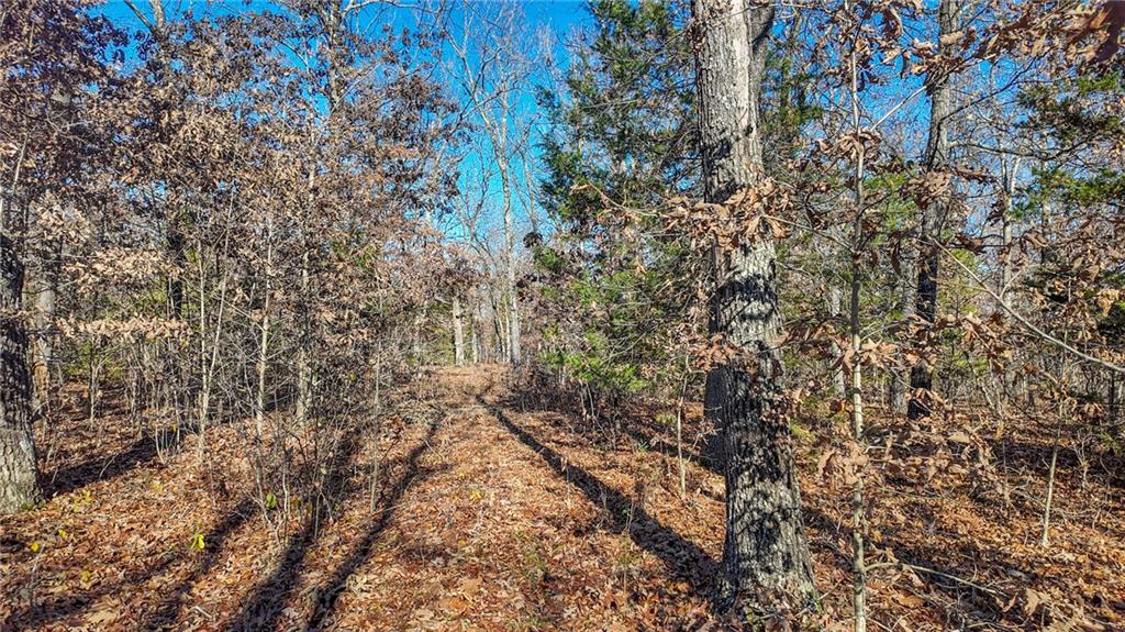 0 Southeast 1151st Road Collins, MO 64738 - Photo 10 of 62