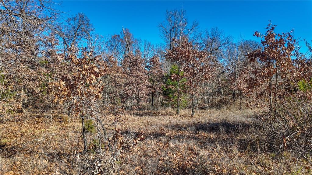 0 Southeast 1151st Road Collins, MO 64738 - Photo 10 of 62