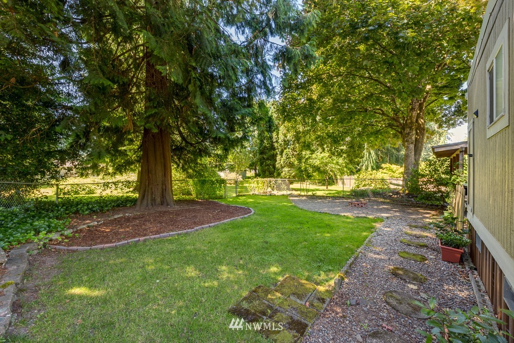 3318 206th Place Southeast Bothell, WA 98012 - Photo 11 of 35 a view of yard with tree