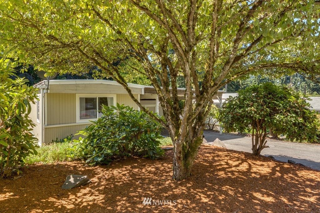3318 206th Place Southeast Bothell, WA 98012 - Photo 31 of 35 a white house that has a tree in front of it