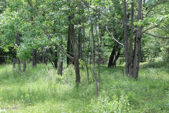 406 Avoy Road Lake Ariel, PA 18436 - Photo 11 of 13
