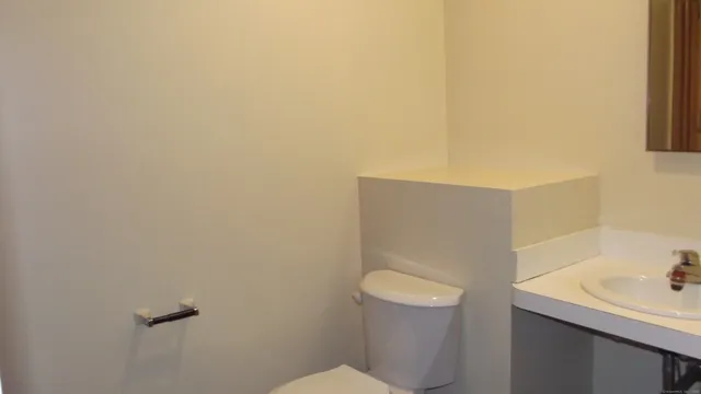 a bathroom with a sink and a toilet