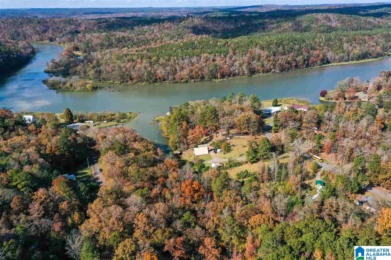 384 Bill Gross Camp Road Bessemer, AL 35023 - Photo 44 of 47 Gallery Image 44