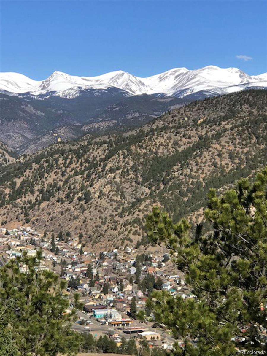 Hidden Wilderness Road Idaho Springs, CO 80452 - Photo 4 of 16 Gallery Image 4