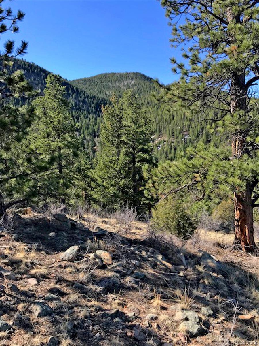 Hidden Wilderness Road Idaho Springs, CO 80452 - Photo 6 of 16 Gallery Image 6