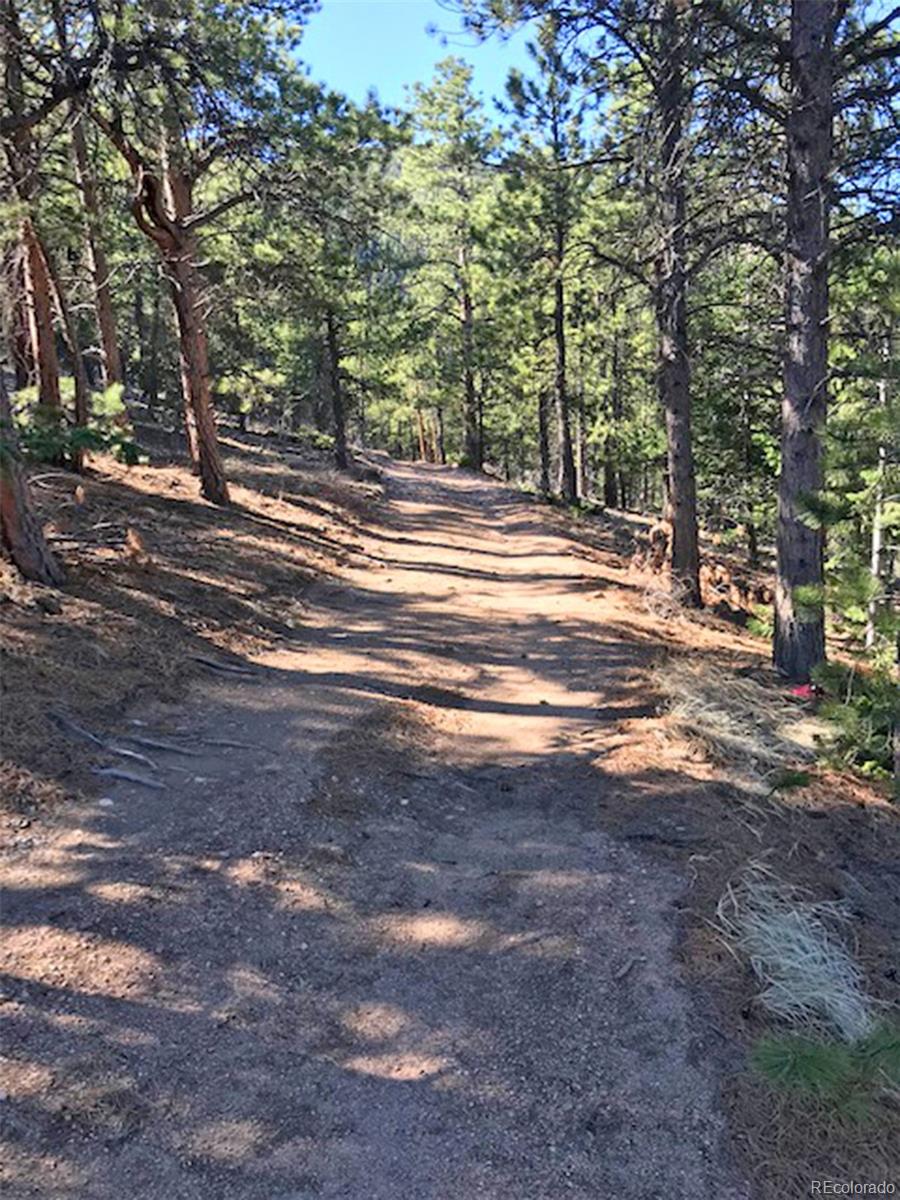 Hidden Wilderness Road Idaho Springs, CO 80452 - Photo 7 of 16 Gallery Image 7