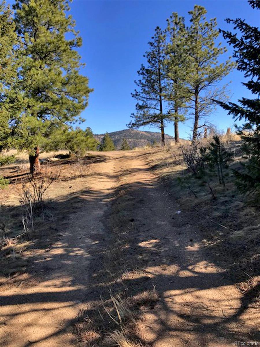 Hidden Wilderness Road Idaho Springs, CO 80452 - Photo 8 of 16 Gallery Image 8