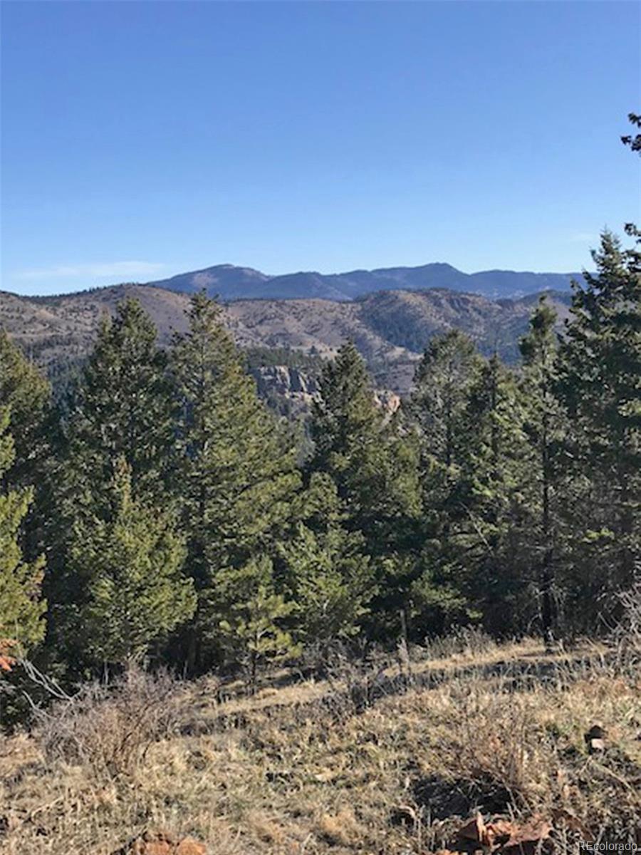 Hidden Wilderness Road Idaho Springs, CO 80452 - Photo 10 of 16 Gallery Image 10