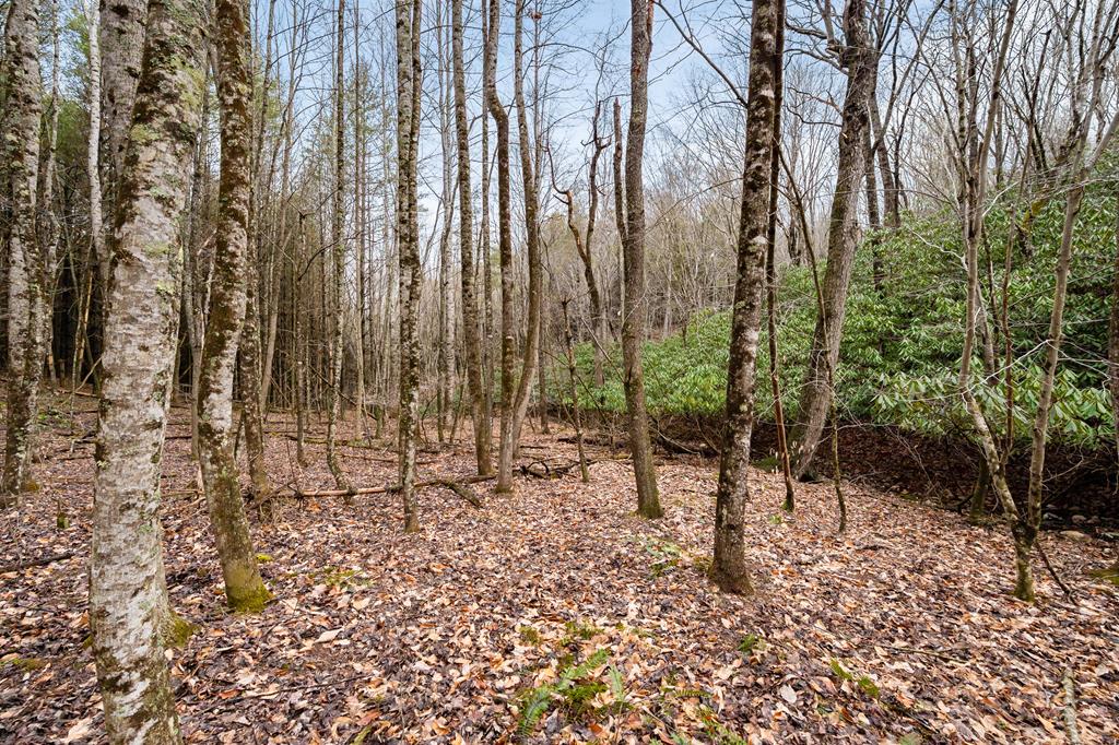 1055 Epperly Mill Road Southwest, Unit 185 & 186 Floyd, VA 24091 - Photo 21 of 31 Gallery Image 21